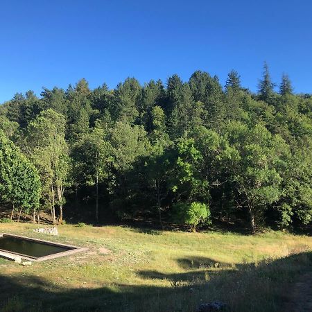 Logement Calme Avec Vue Sur Le Luberon Saignon Exterior photo