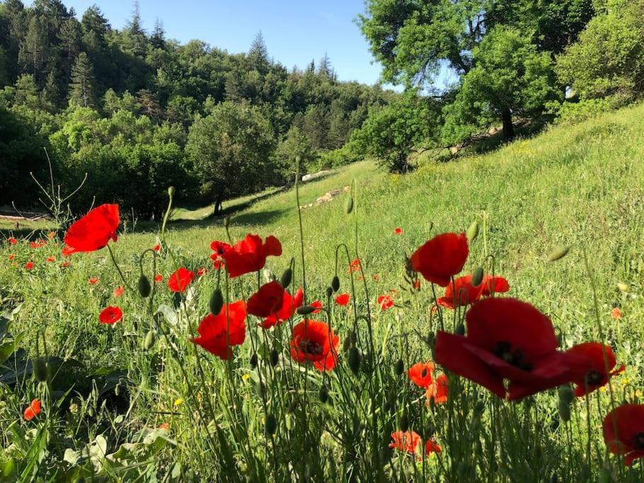 Logement Calme Avec Vue Sur Le Luberon Saignon Exterior photo